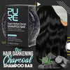 Load image into Gallery viewer, PURE Organic Hair Darkening Charcoal Shampoo Bar